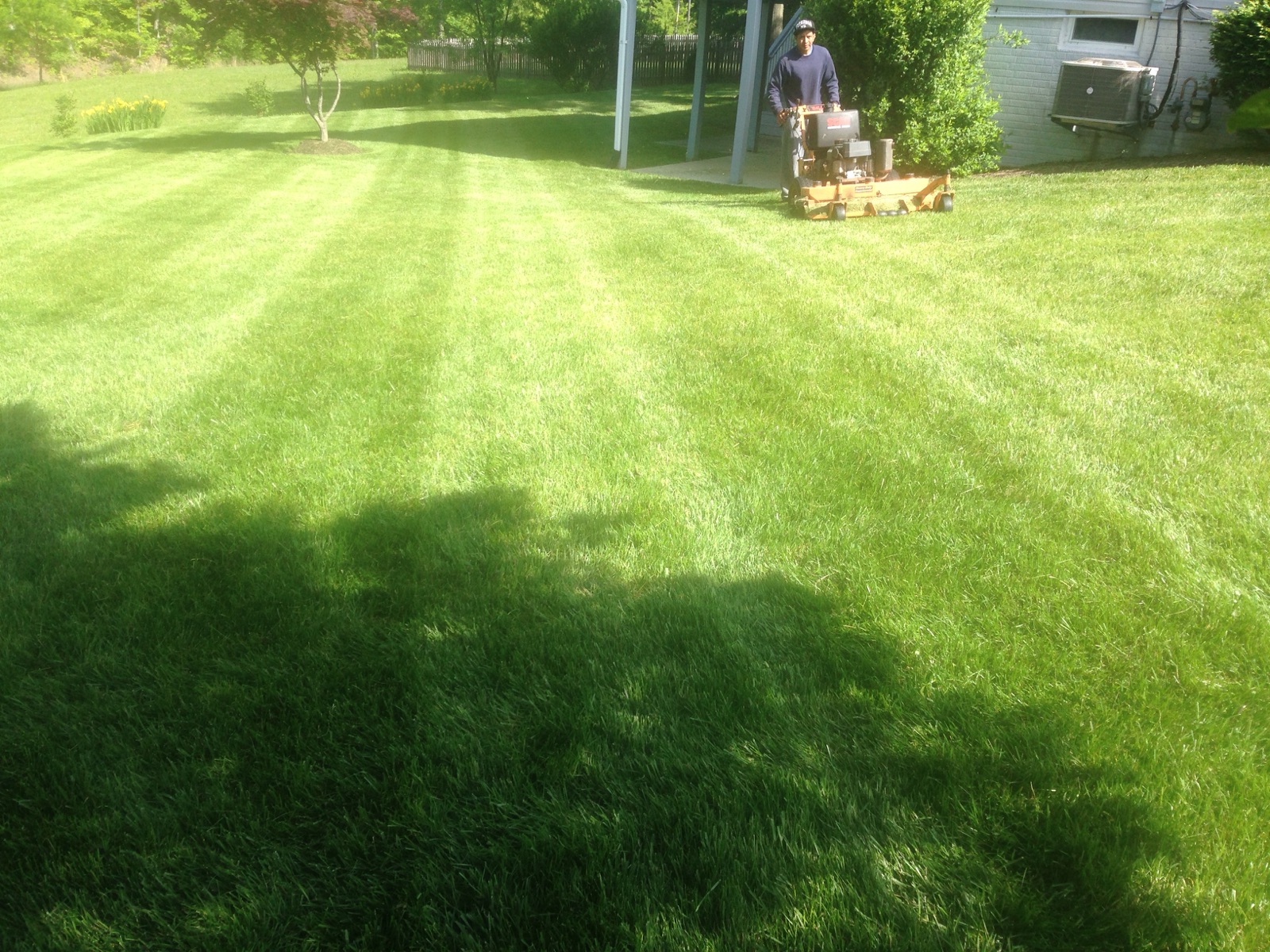 Lawn Maintenance