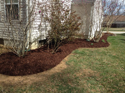 Lawn Services