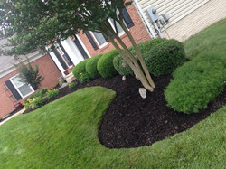 Beautiful Lawn Designs
