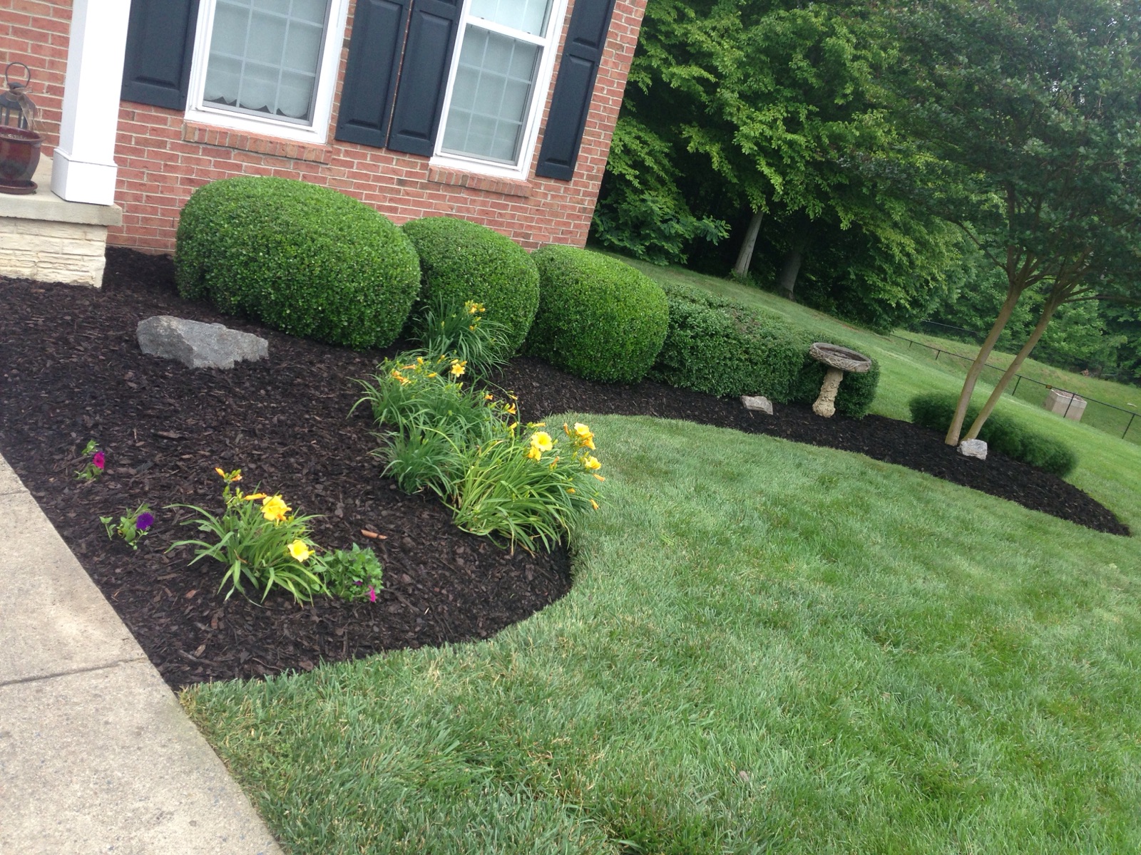 Lawn Re-design
