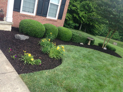 Lawn Re-design