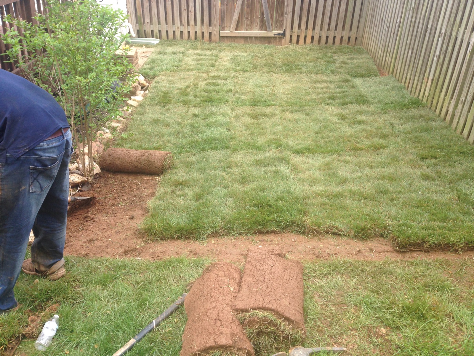 Sodding Services
