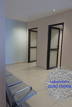 SALLES PRELEVEMENTS OF.png