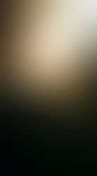 覚醒とは What is Awakening?