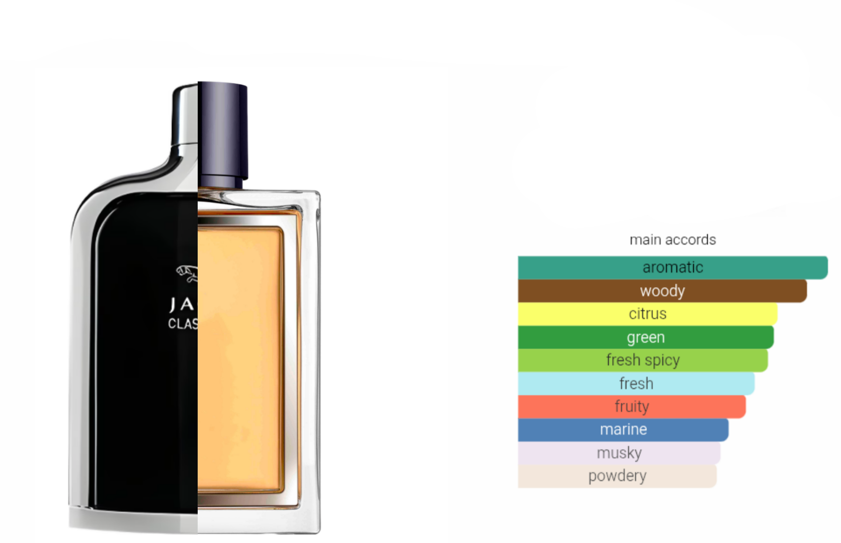 JAGUAR CLASSIC BLACK