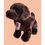 Thumbnail: Labrador (Chocolate) TH