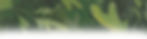 header.jpg