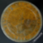 19th Century Penny Newcastle on Tyne 885 1811 Bewicke Main Colliery. Ship. Value