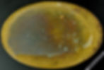 Thumbnail: Stretford Transport Token 39x26mm Omnibus Company Limited 4D - Very rare