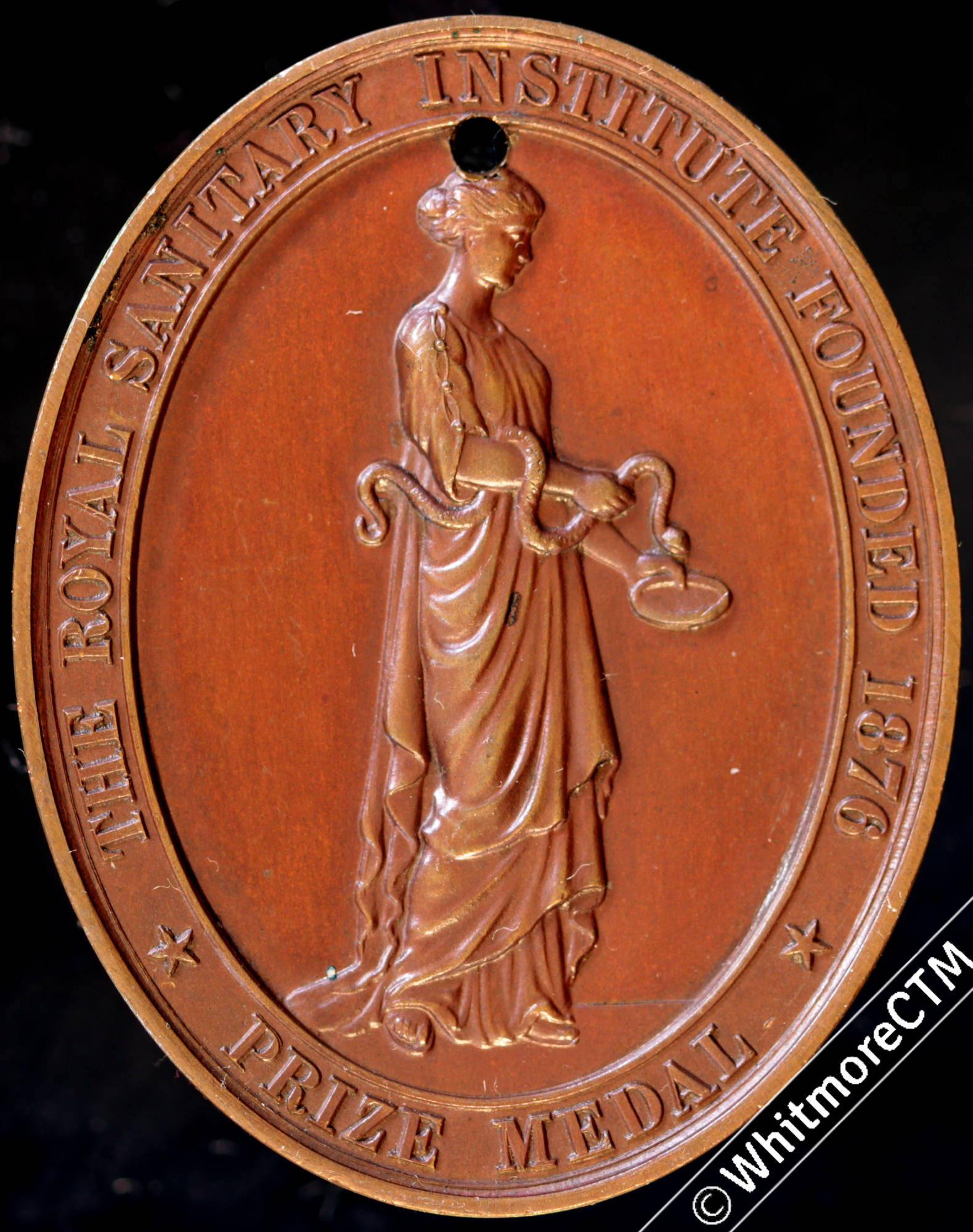 1906 Royal Sanitary Institute Medal 51 x 41mm Heney Saxon Snell Prize. Bronze