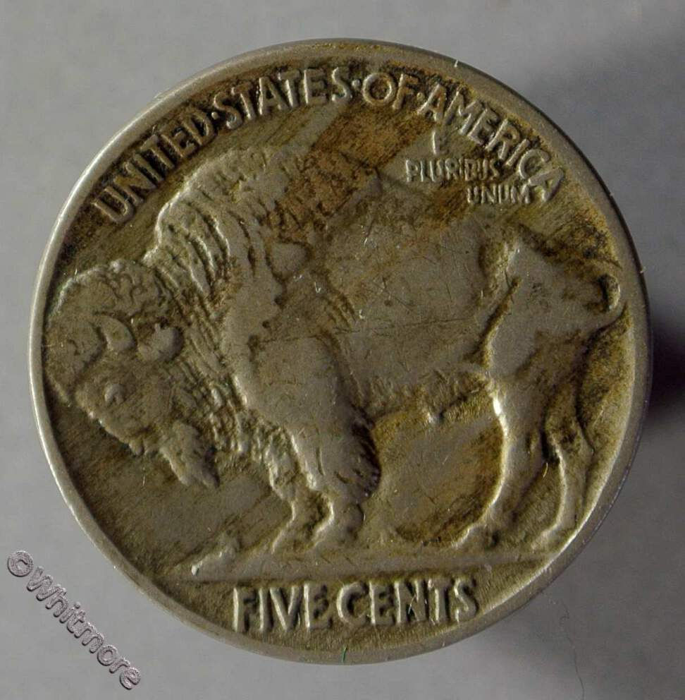 1916 USA Buffalo Five Cents coin