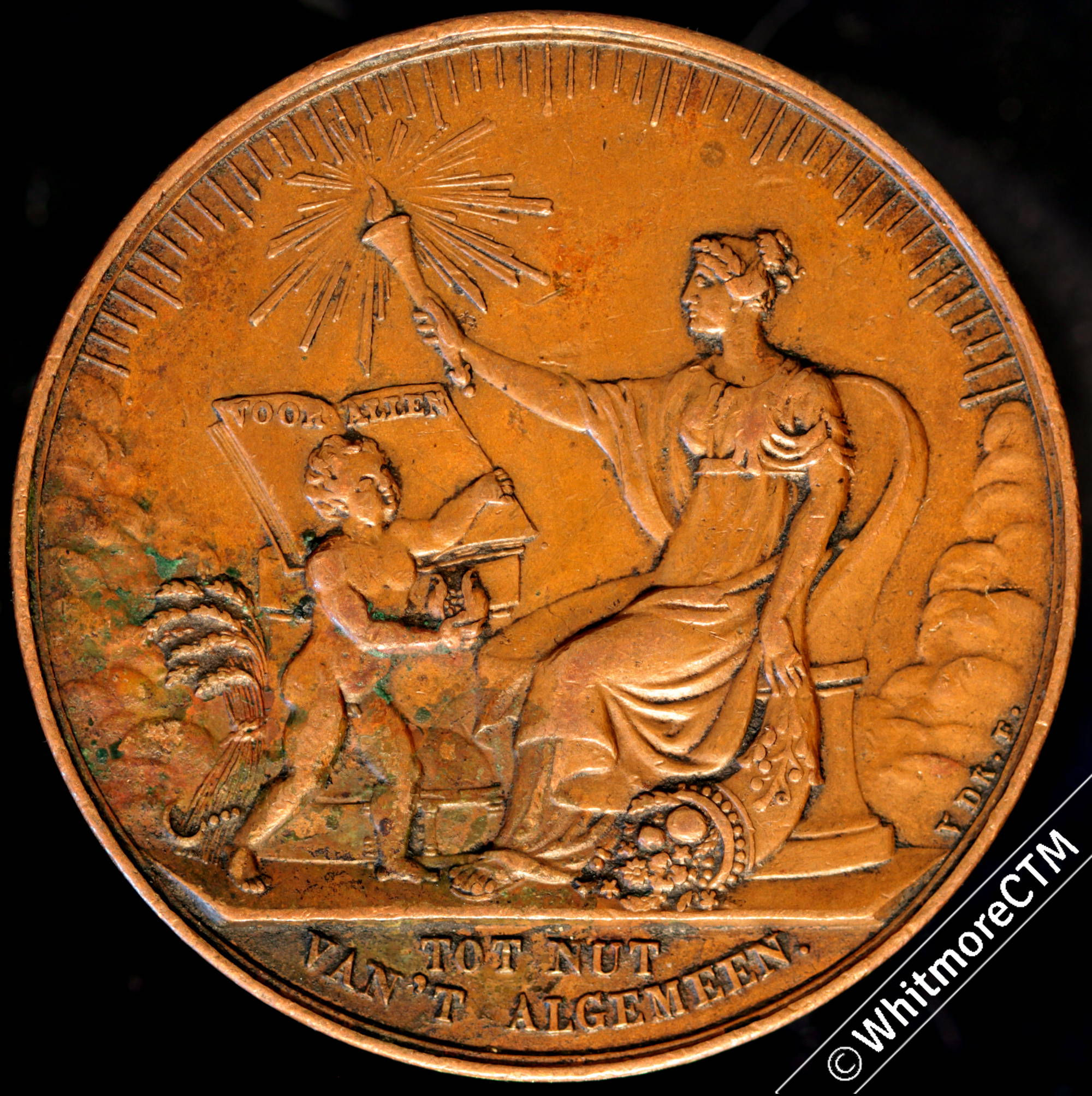 1834 Netherlands 50th Anniversary Maatschappij tot Nut vant’ Medal 36mm Ae