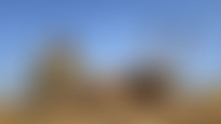 Michael & Lynn Stewart - September 2025