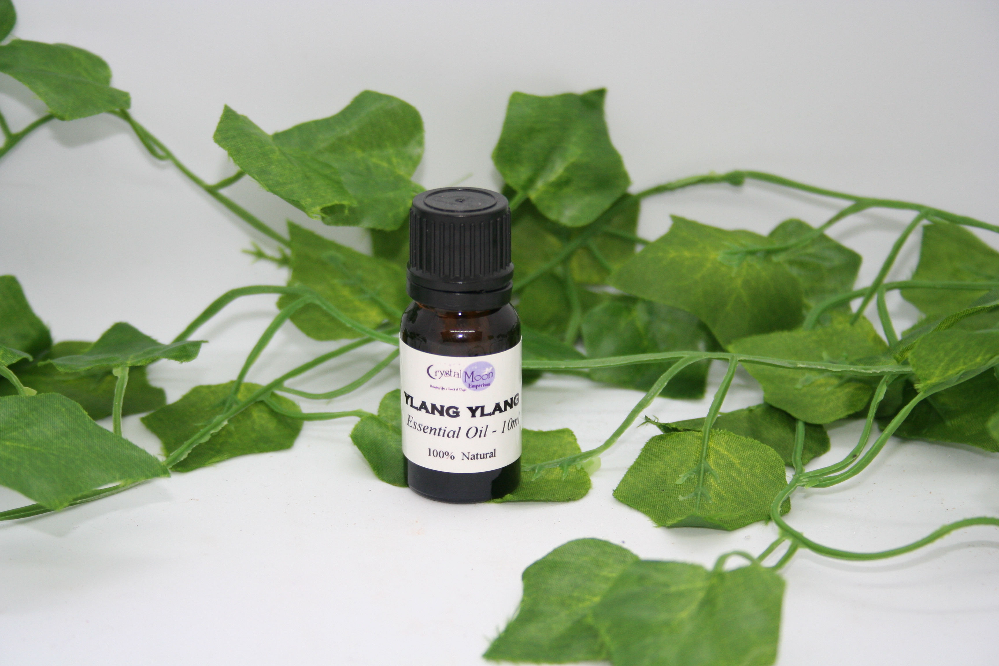 Ylang Ylang Essential Oil - 10ml