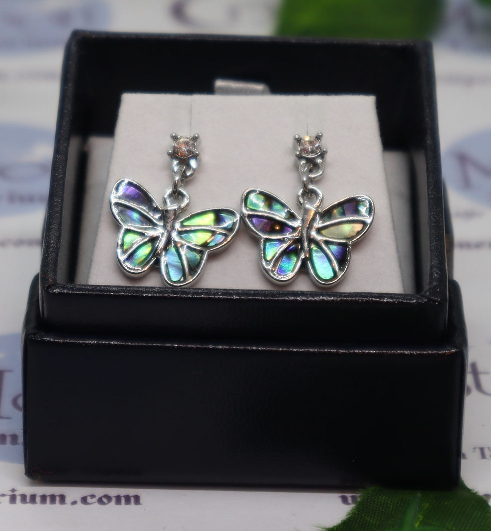 Paua Shell - Butterfly Stud/Drop Earrings