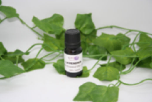 Lavender Essential Oil - 10ml