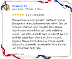 Avis élevage Cane Corso