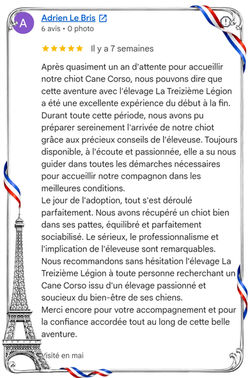 Avis élevage Cane Corso