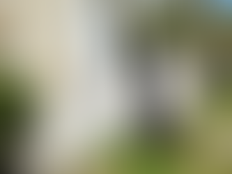 Un dimanche à la Treizième Légion (21.04.2024)