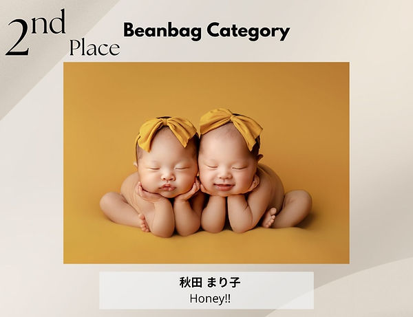 beanbag category 28.jpg