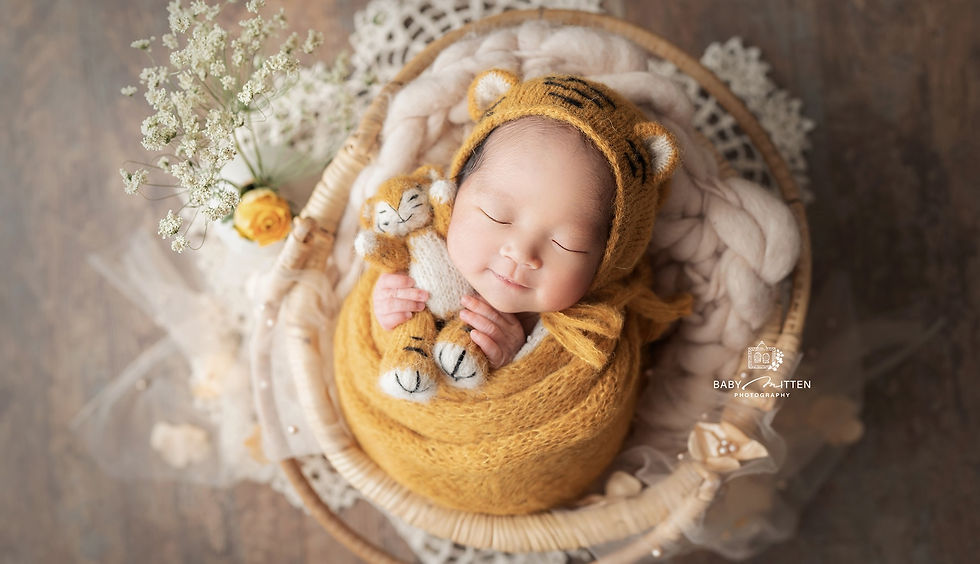 Baby mitten1.jpg