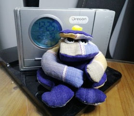purple cloth frog