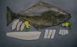 WholeHalibut&Portions-2-LR_edited_edited.jpg