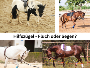 Wem helfen eigentlich Hilfszügel?
