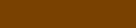 BRONZE SPONSOR