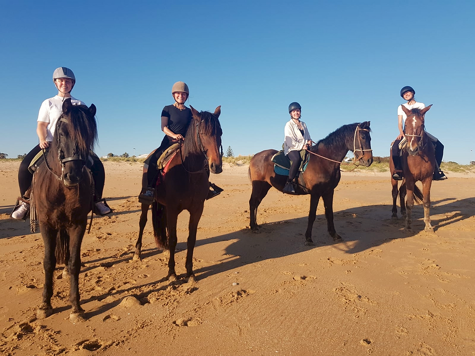 Horseback riding experience near Maria Leona Retreats in Andalusia, Spain.