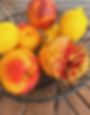 Fresh seasonal fruit served at the yoga retreat.