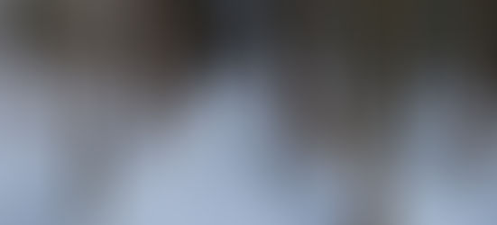 Januar – indre kalibrering