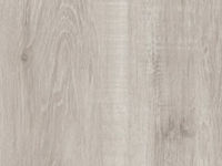 Aneto_Oak_cen-1_edited.jpg