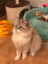 IMG_5750.jpeg