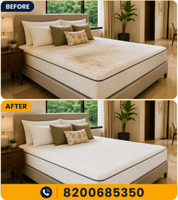 Best Mattress Cleaning Service in Ahmedabad for Home Hygiene