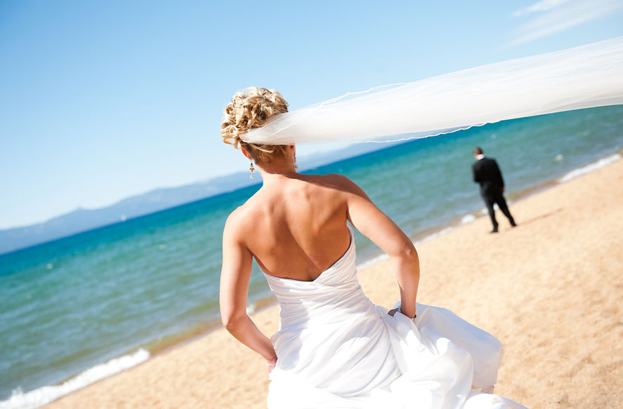 Copy of • honey bee • (4)_edited.jpg