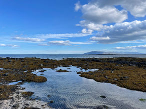 The shorelines in Iceland and the meaning of Fjara