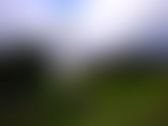 Bibles in the Icelandic Immigration to North America: Part Two