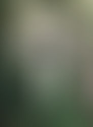 The Sjöundá Case: Part I