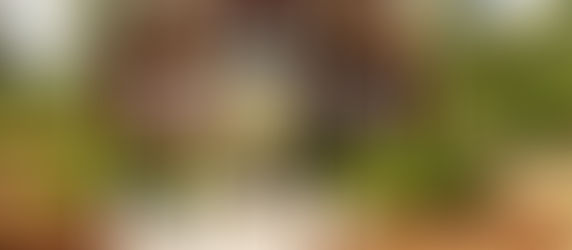 Bullerbü-Syndrom und Safranbrötchen