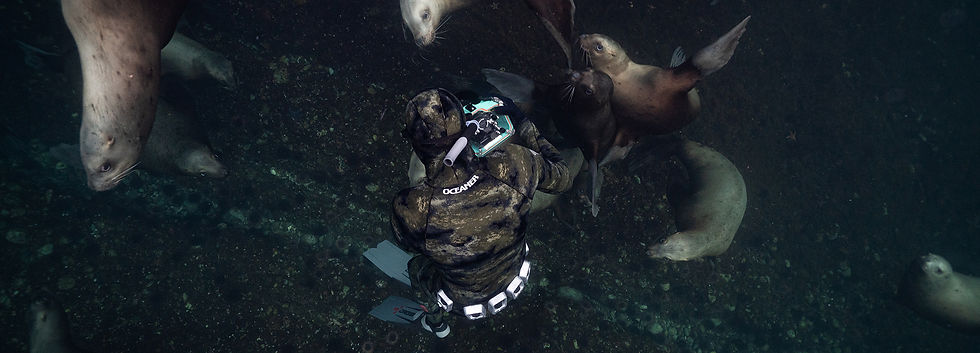 freediving-clubs-canada.jpg