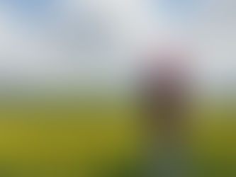 서초구변기막힘