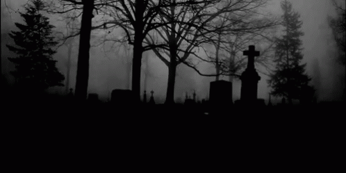 Never visit Cemetery at night , You might see shadows , And also remember this !