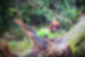 DS5A7248.jpg