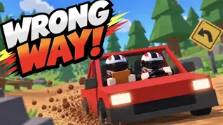 WRONG WAY Codes!