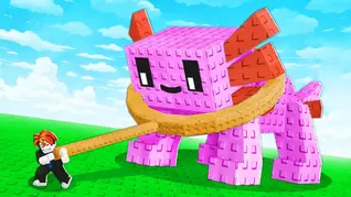 Catch And Tame Codes!