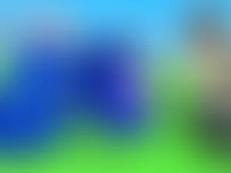 Steal an Clown Egg Codes!