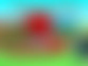 Build A Ring Farm Codes!