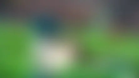 NFL Universe Football Codes!