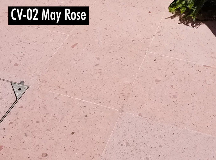 CV-02 May Rose